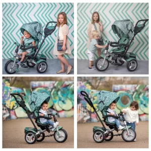 Lorelli Tricycle Neo 4 In 1 In Natur 27